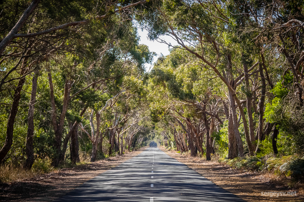 A nice stretch of Victorian country road.