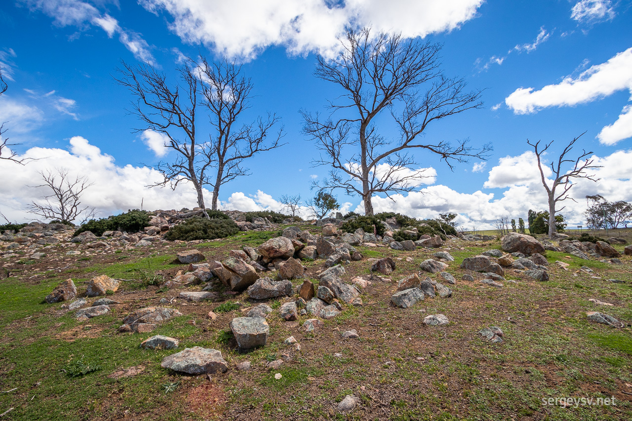 Trees and rocks. Always a scenic combo.