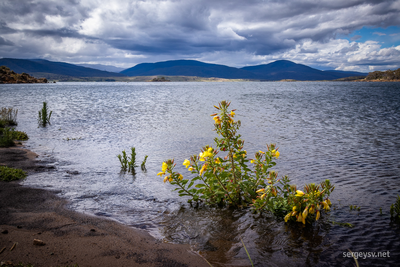 The Jindabyne Lake.