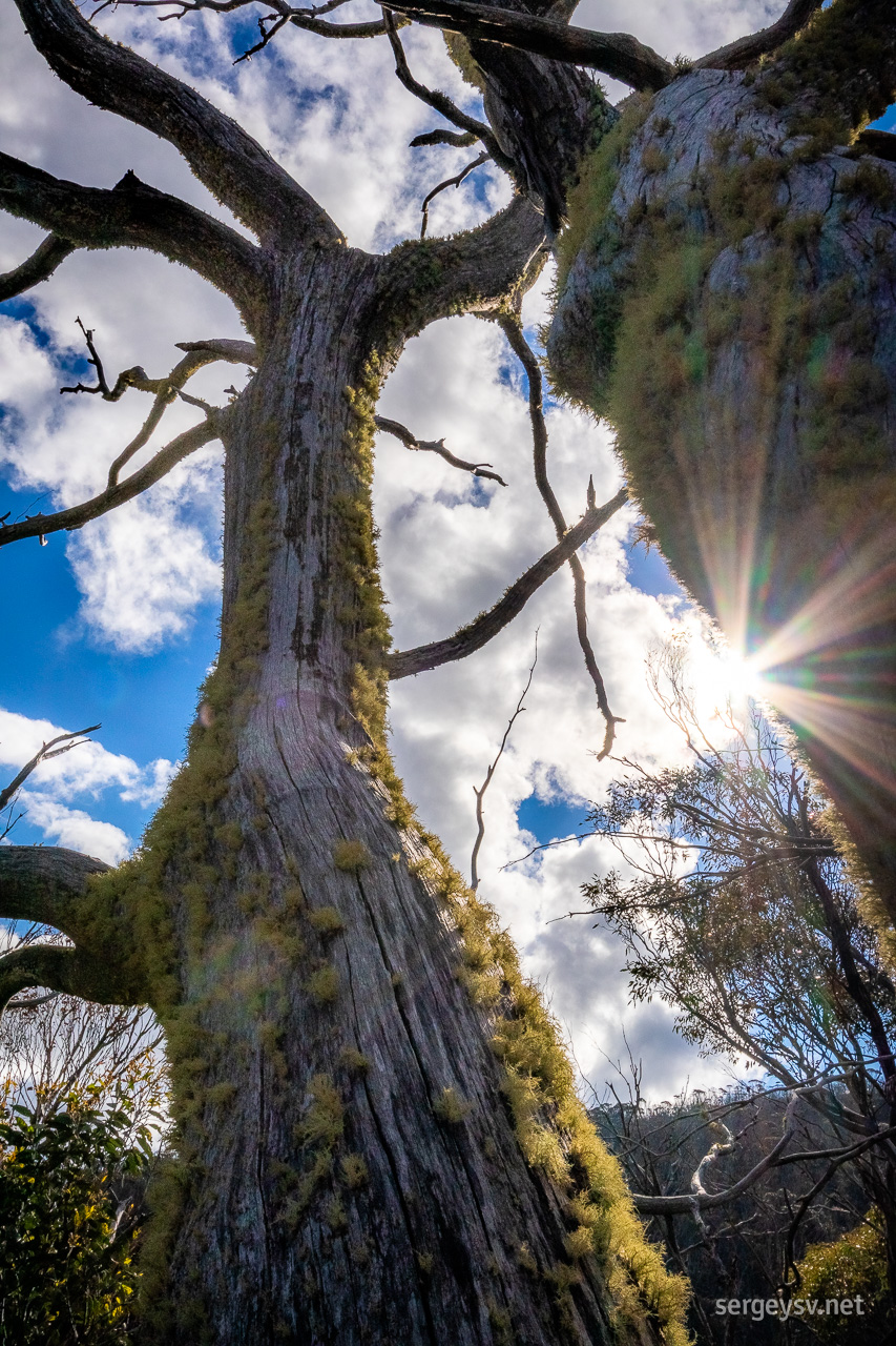 Looking up.