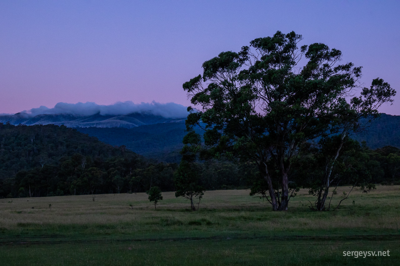 In the gathering dusk.