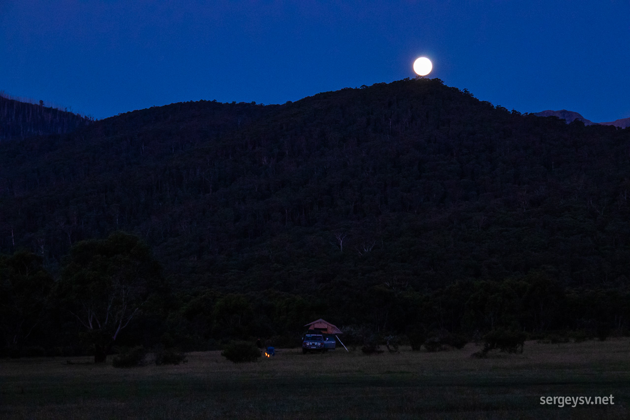 The neighbours and the moon.