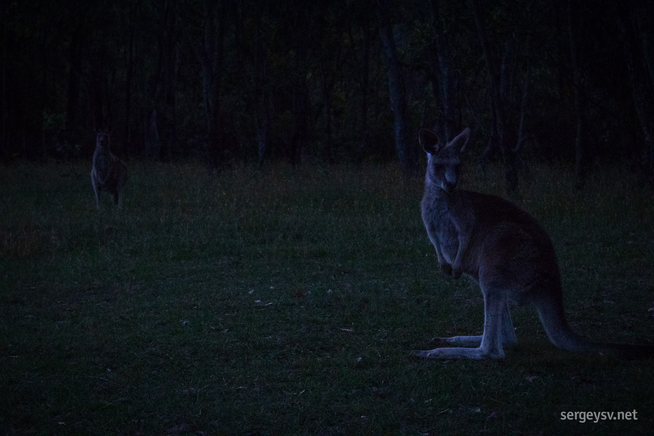 More neighbours!