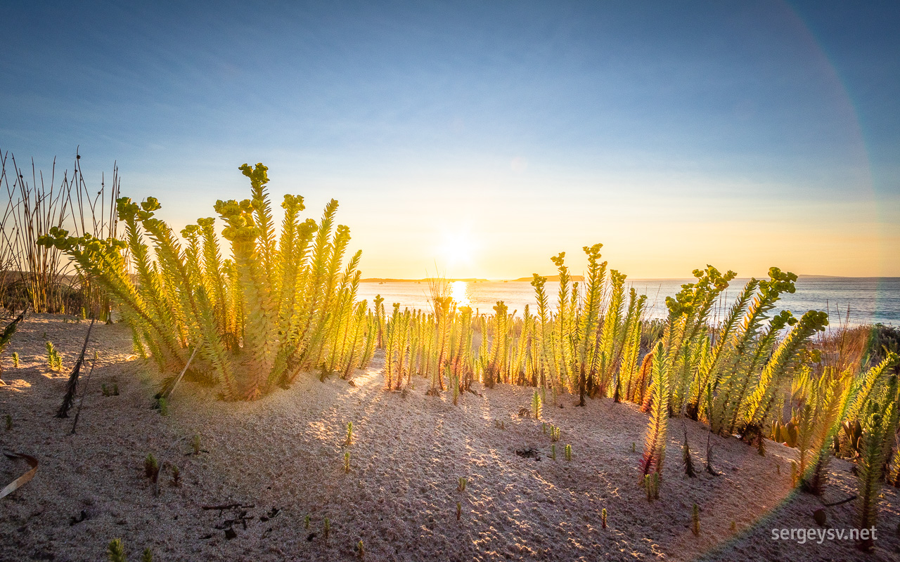 At the Yorke Peninsula.