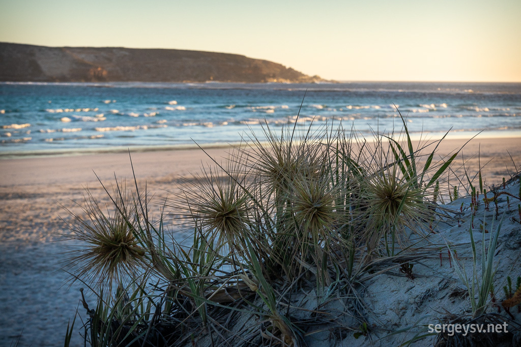 Heading out on the Almonta Beach.