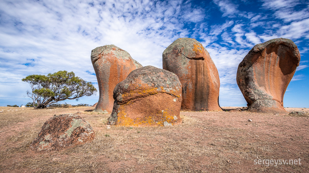 A bit like a selection of giant mittens, maybe?