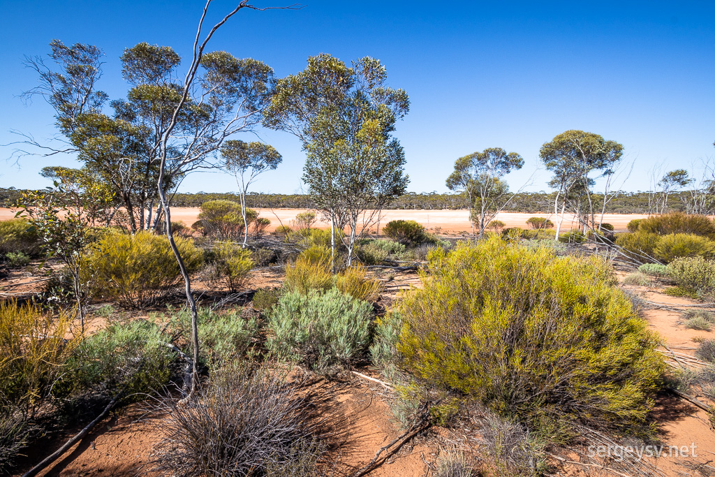 More Western Australian red dirt.