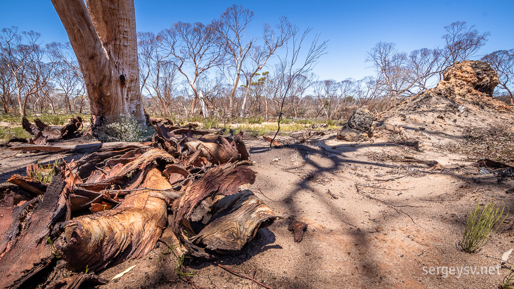 Traces of bushfires.