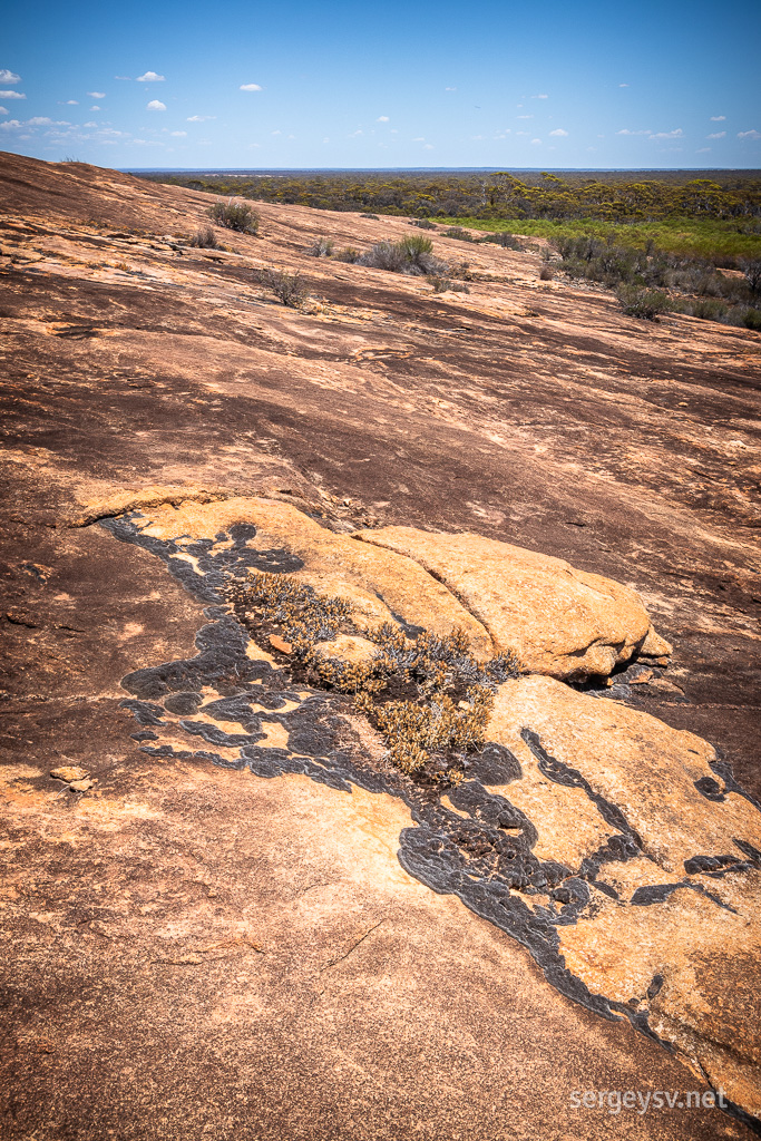 Going further up and seeing some odd black lichens beneath my feet.