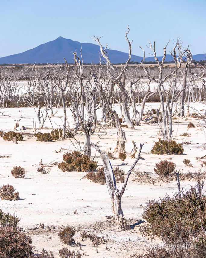 A picturesque saltpan.