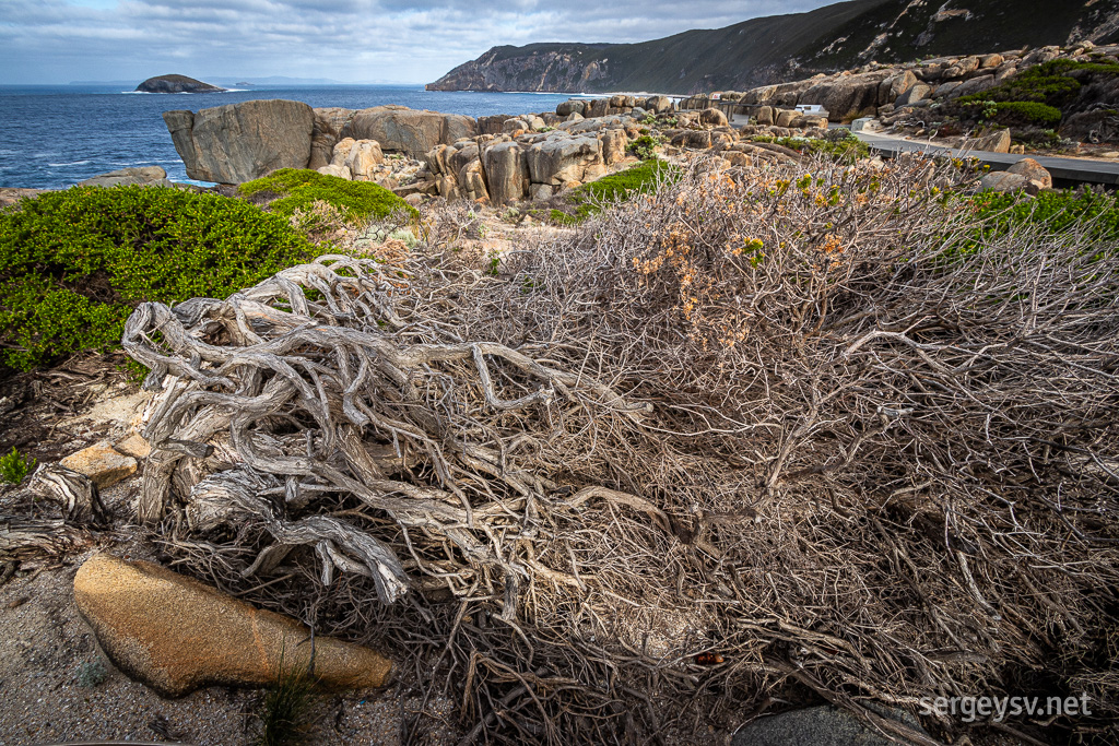 At the Torndirrup National Park.