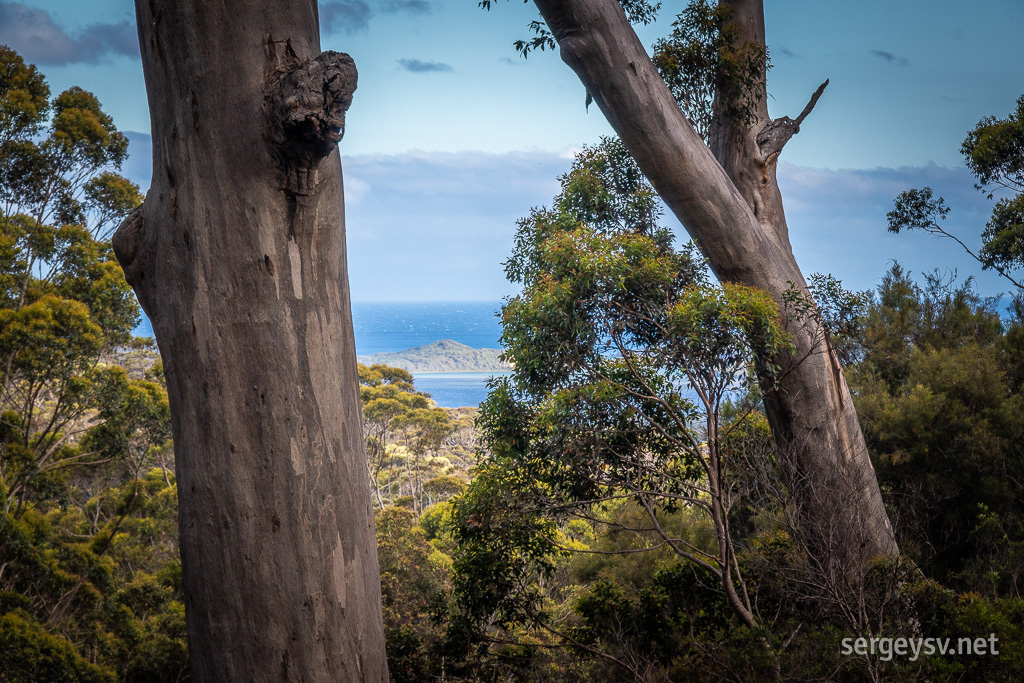 Last glance at the sea.