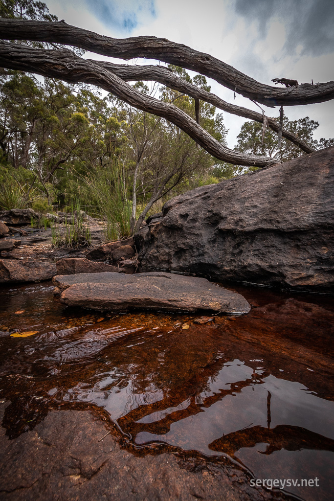 At the Fernhook Falls.