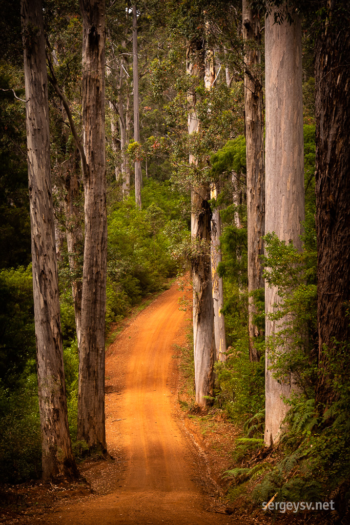 Isn't this stretch of road just lovely?