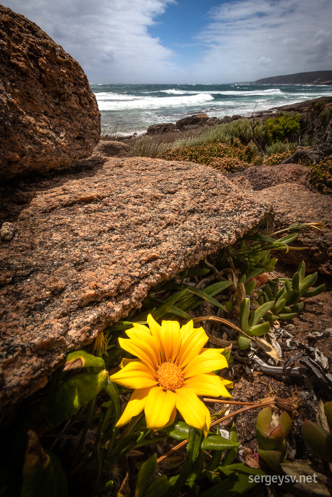 At the Cape Leeuwin.