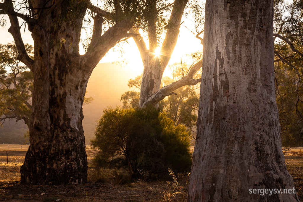 Last rays.