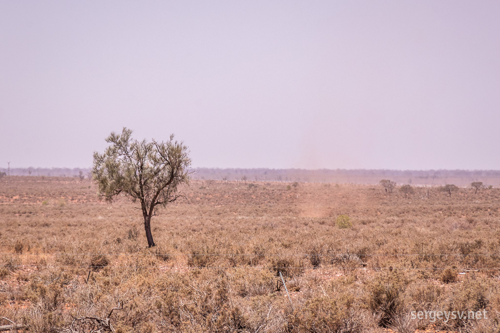 See the dust devil?